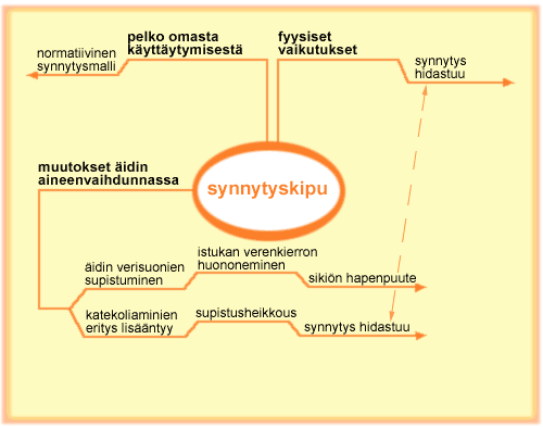 Synnytyskivun lähtökohdat ja vaikutukset